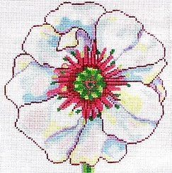 Simple Flowers - White Poppy