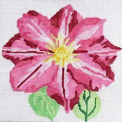 Simple Flowers - Pink Clematis
