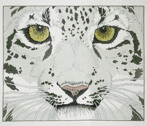 Snow Leopard