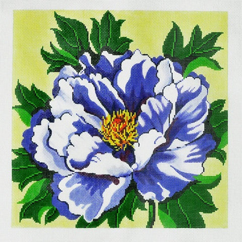 Periwinkle Peony