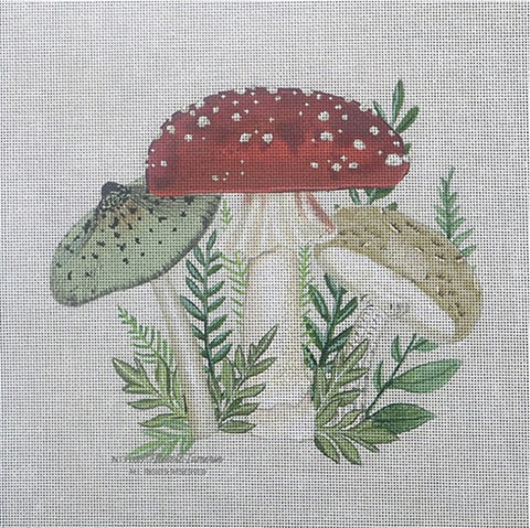 Three Mushrooms 