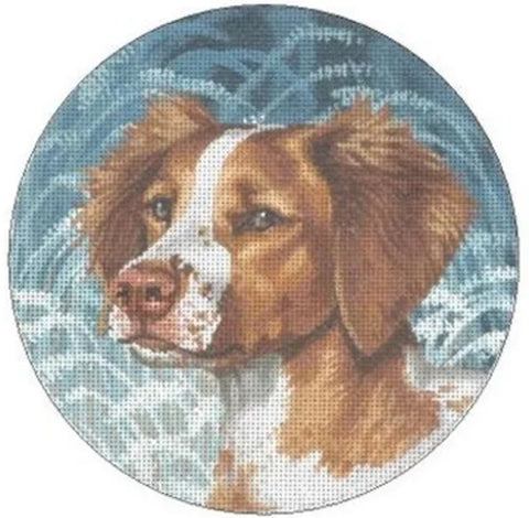 Brittany Dog