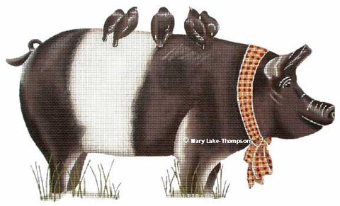 Hampshire Pig Black/White