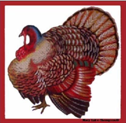 Turkey 