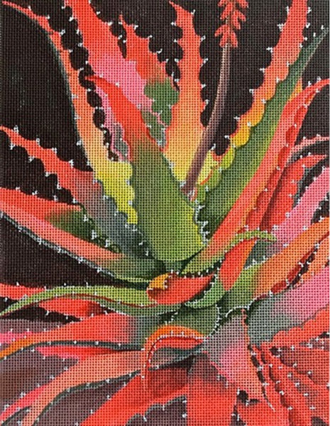 Sunset Agave