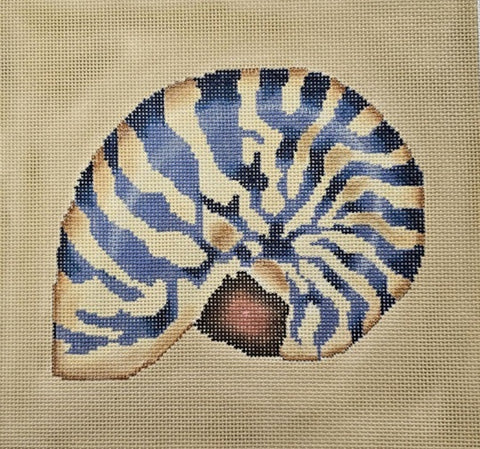 Nautilus Shell/Beige and Blue