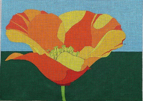 California Poppy - 18M