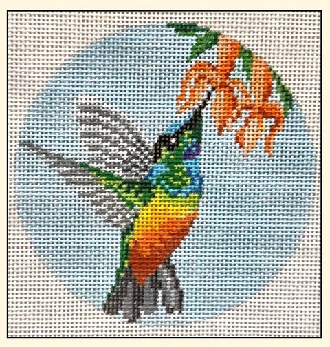 Golden Bellied Starfrontlet Hummingbird