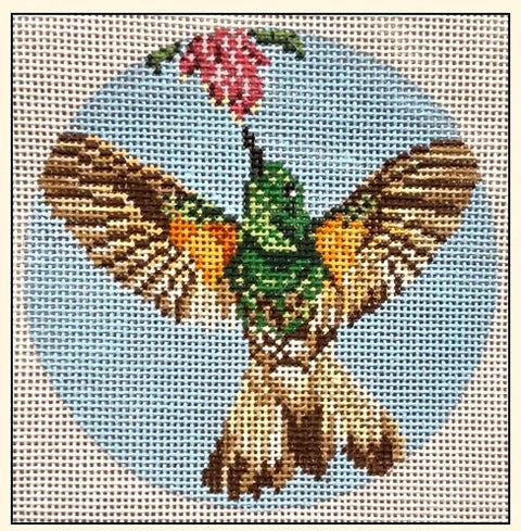 Buff Tailed Coronet Hummingbird