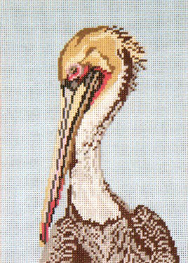 Brown Pelican Head - 13M