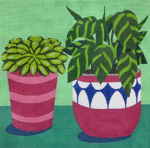 Two Potted Plants