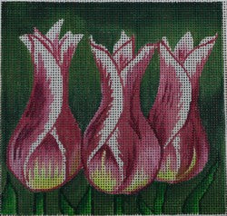 Tulips (Robbyns Nest)