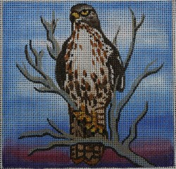 Hawk (Robbyns Nest)