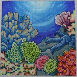 Tropical Reef (Robbyns Nest)