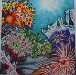 Coral Reef (Robbyns Nest)