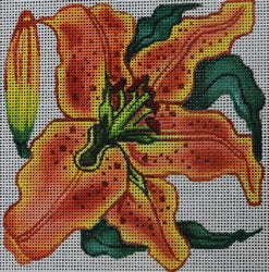 Tiger Lily (Robbyns Nest)