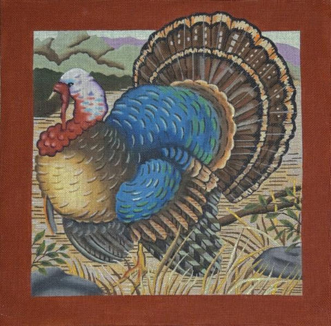 Handsome Turkey (Melissa Shirley)