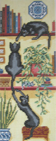 Black Cat Trio