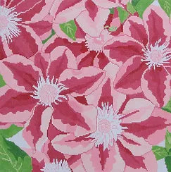 Pink Clematis (Jean Smith)