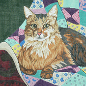 Maine Coon Cat on Quilt