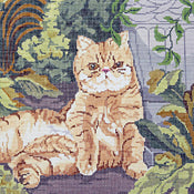 Scarlet The Cat