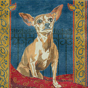 The Chihuahua