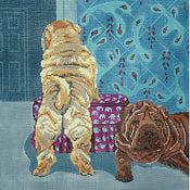 Chinese Shar-Peis