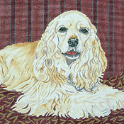 Cocker Spaniel