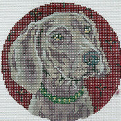 Weimaraner Head