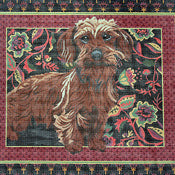 Wire-Haired Dachshund