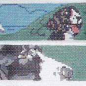 English Springer Spaniel Belt