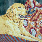 Golden Retriever/Paisley