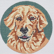 Small Golden Retriever Head