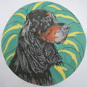 Gordon Setter