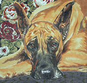 Great Dane