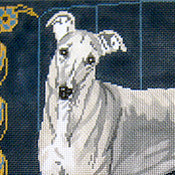 Greyhound