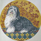 Havanese