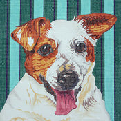 Jack Russell Terrier