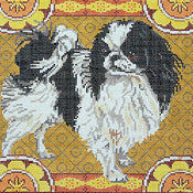 Japanese Chin