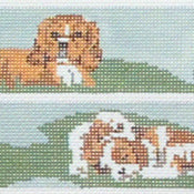 King Charles Belt