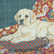 Yellow Lab Puppy on Cushion
