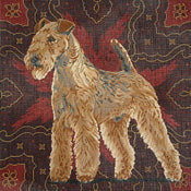 Lakeland Terrier