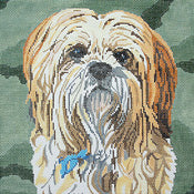 Lhasa Apso