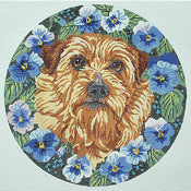 Norfolk Terrier