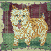 Norwich Terrier