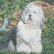 Old English Sheep Dog