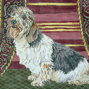 Petit Basset Griffon Vendeen
