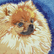 Pomeranian