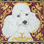 White Poodle