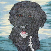 Portugese Water Dog